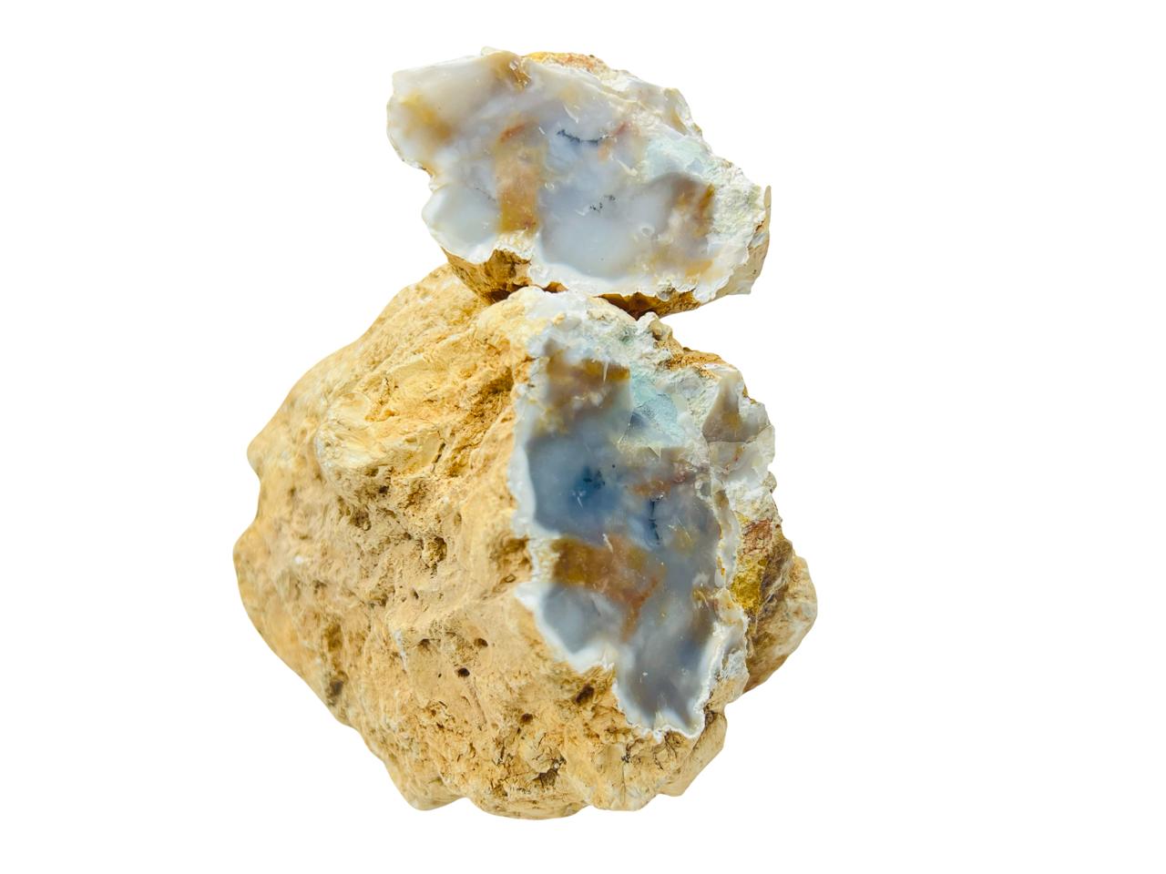 العقيق الشجري السرخسي